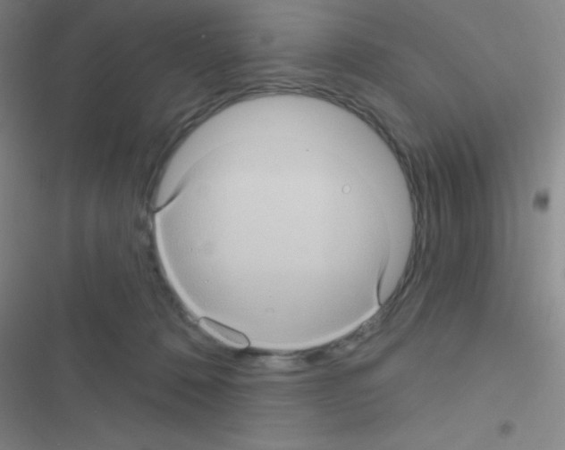 X0000116590320201001211331