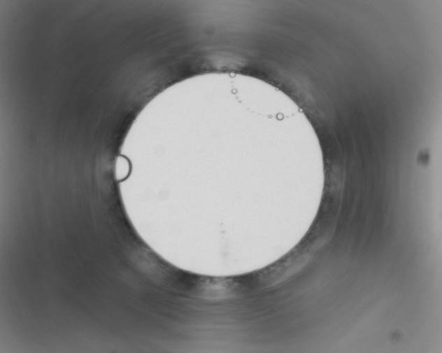 X0000116590321201001211331