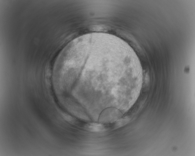 X0000116590322201001211331