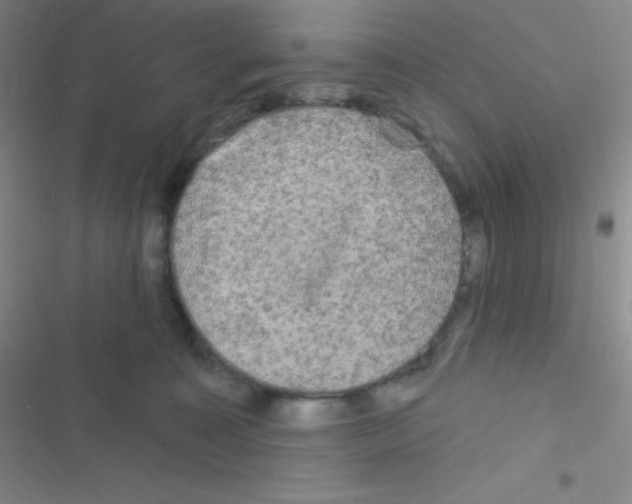 X0000116590323201001211331