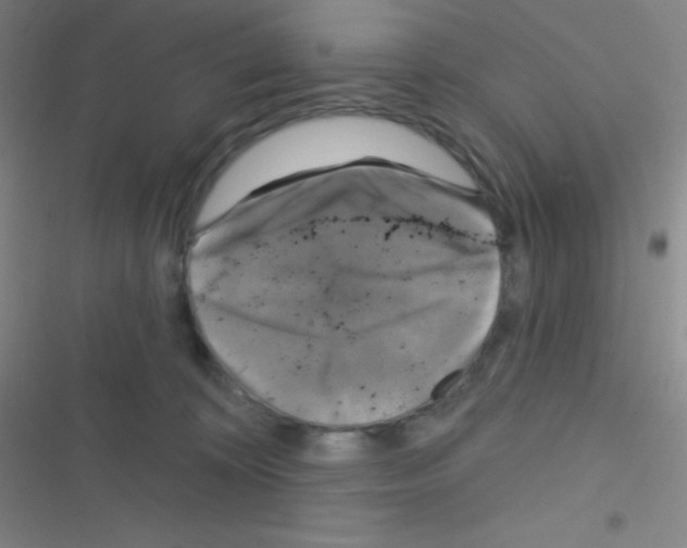 X0000116590324201001211331