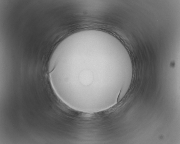 X0000116590325201001211331