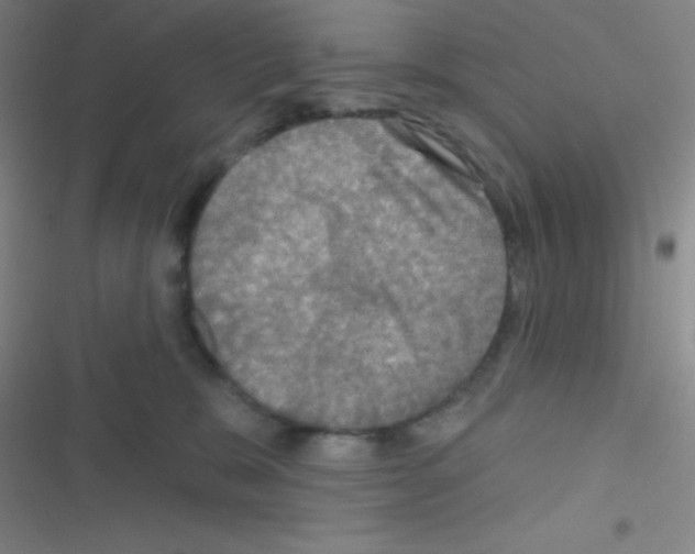 X0000116590327201001211331