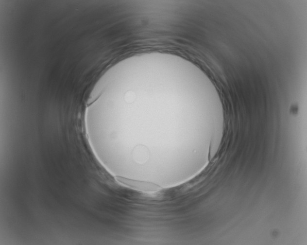 X0000116590328201001211331