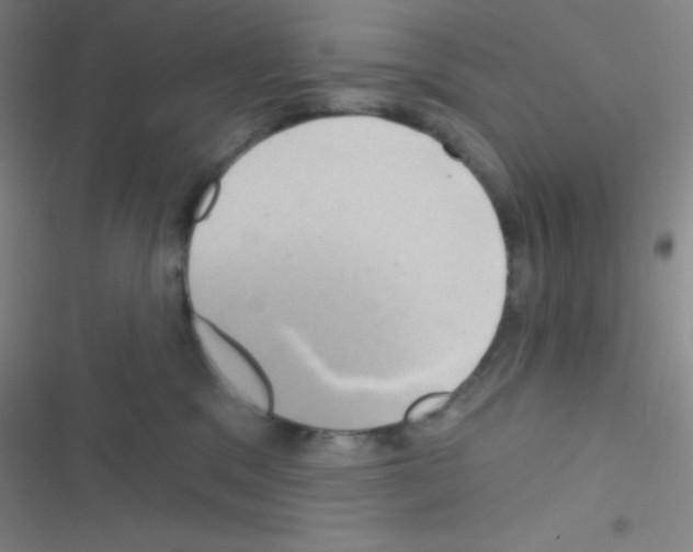 X0000116590329201001211331