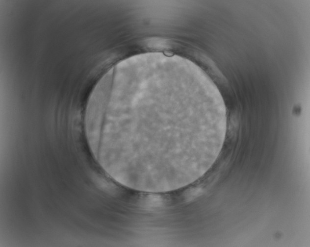 X0000116590330201001211331