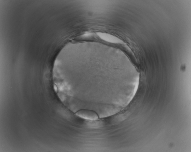 X0000116590331201001211331