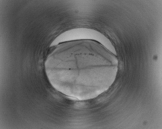 X0000116590332201001211331