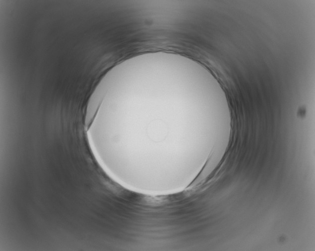 X0000116590333201001211331