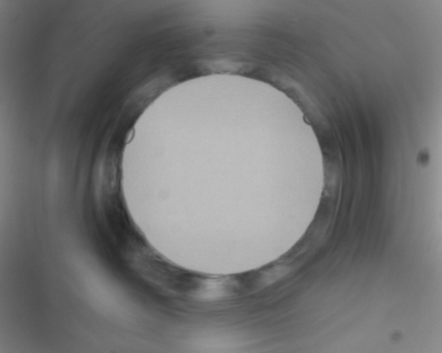 X0000116590334201001211331