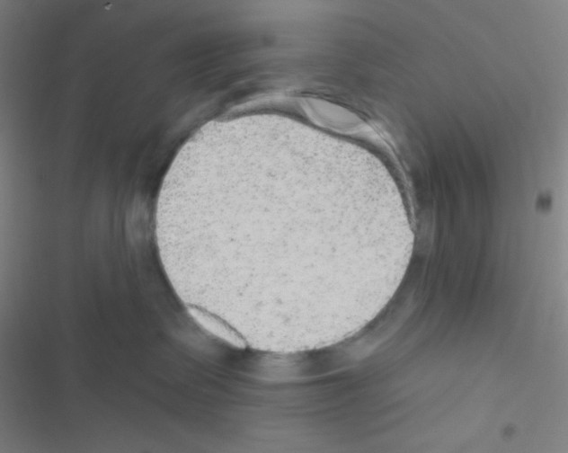 X0000116590335201001211331