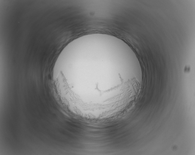 X0000116590336201001211331