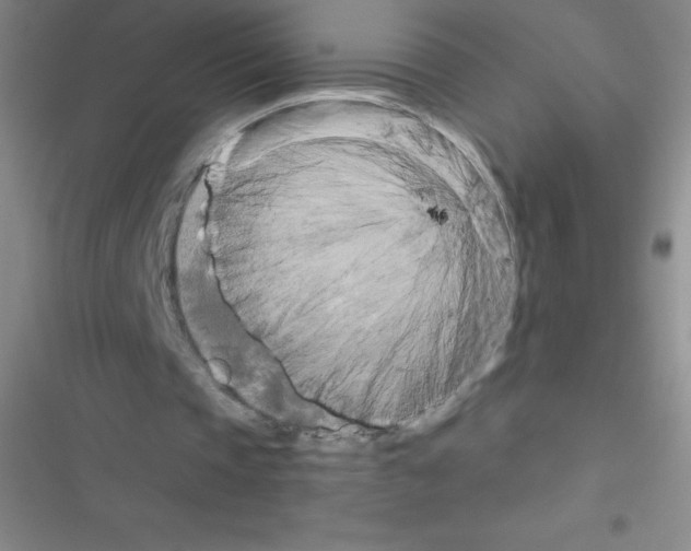 X0000116590337201001211330