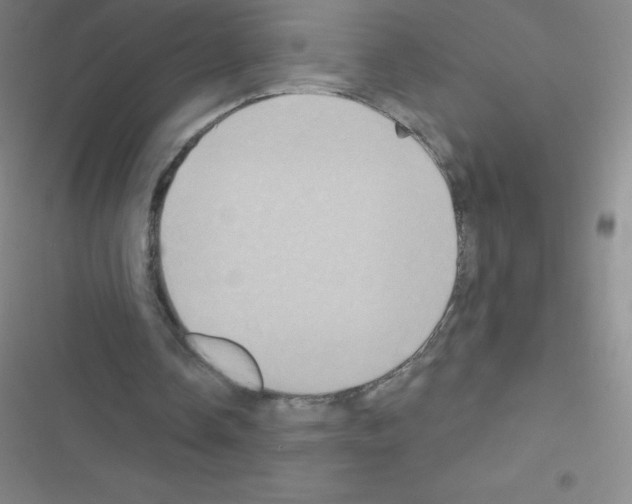 X0000116590338201001211330