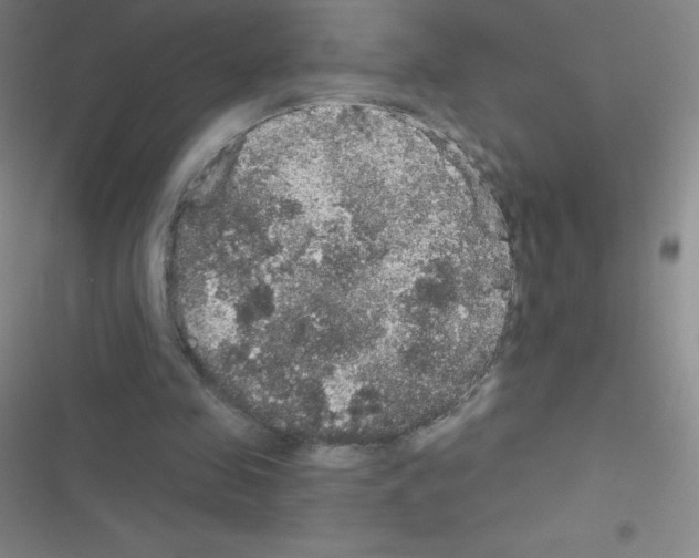 X0000116590341201001211330