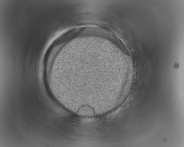 X0000116590342201001211330