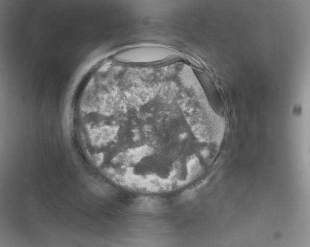 X0000116590343201001211330