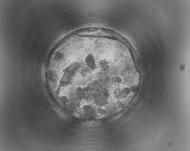 X0000116590345201001211330