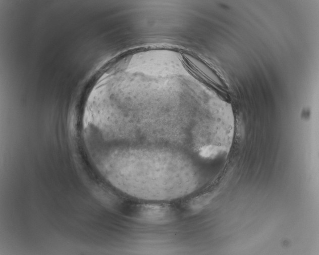 X0000116590347201001211331