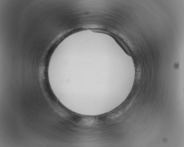 X0000116590351201001211331