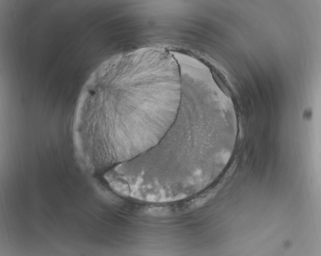 X0000116590353201001211331