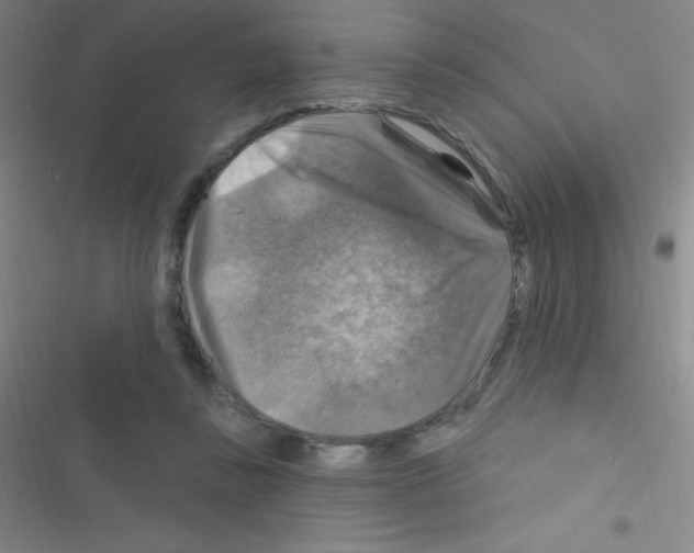 X0000116590355201001211331