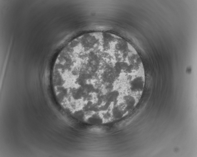 X0000116590358201001211331