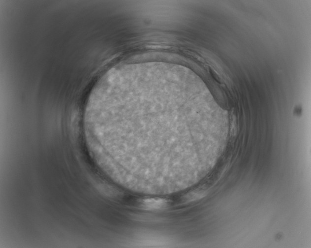 X0000116590363201001211331