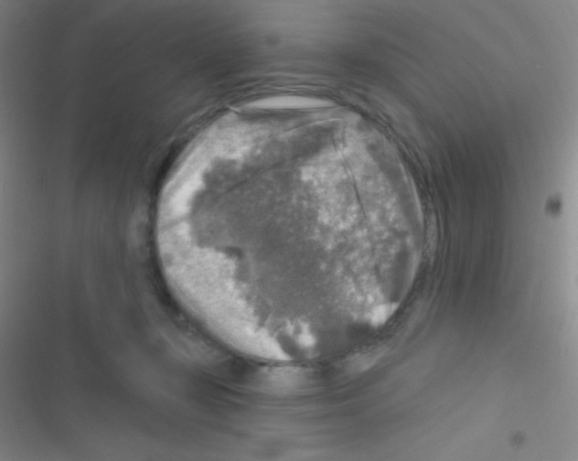 X0000116590367201001211331