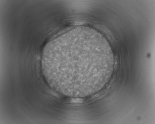 X0000116590369201001211331