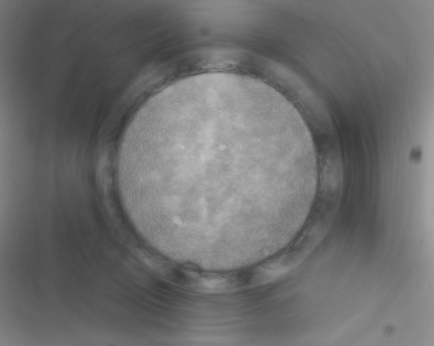 X0000116590370201001211331