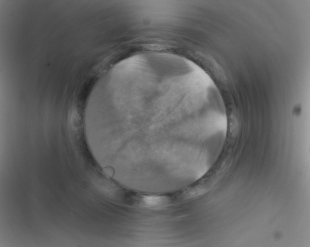 X0000116590371201001211331