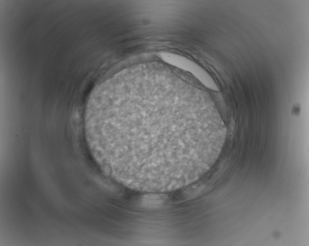 X0000116590373201001211331