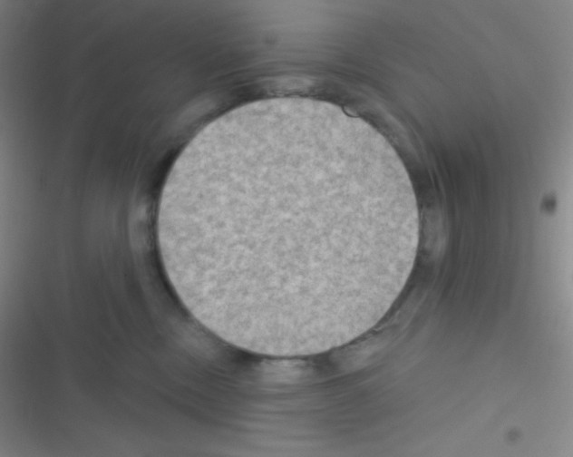 X0000116590378201001211331