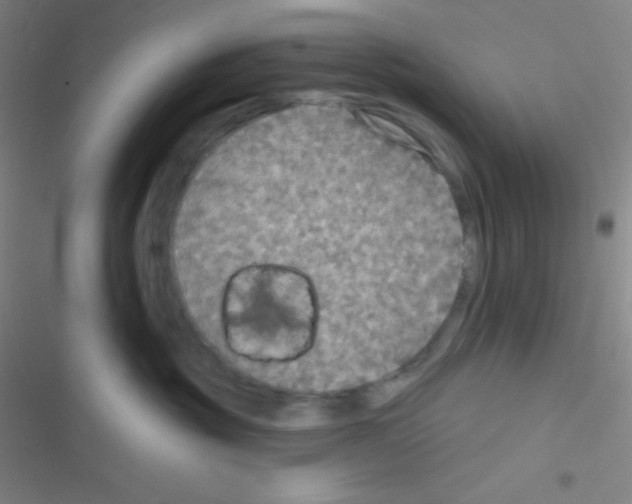 X0000116590381201001211331