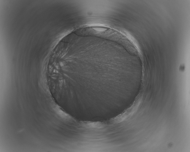 X0000116590385201001211330