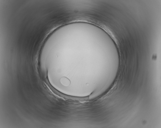 X0000116590386201001211330