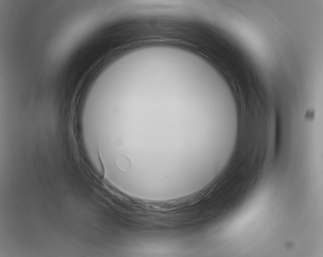 X0000116590387201001211330