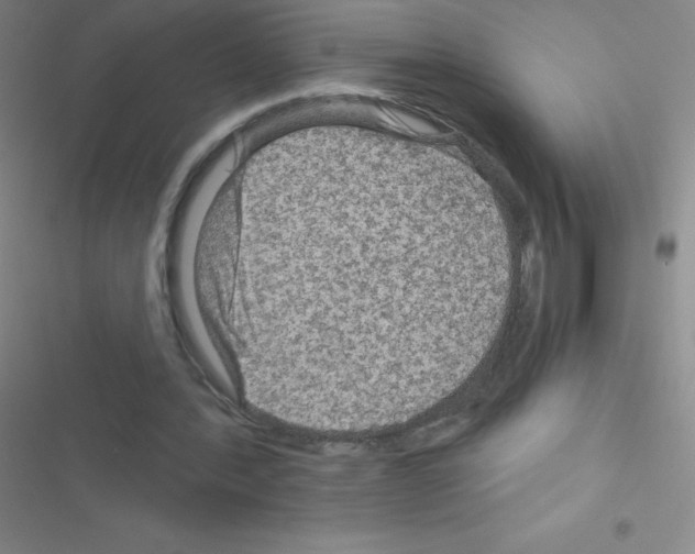 X0000116590388201001211330