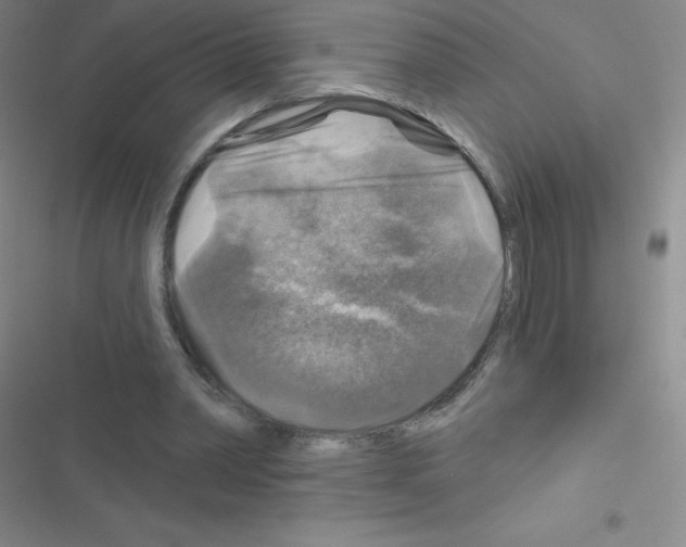 X0000116590390201001211330