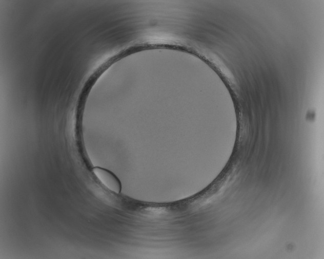 X0000116590391201001211330