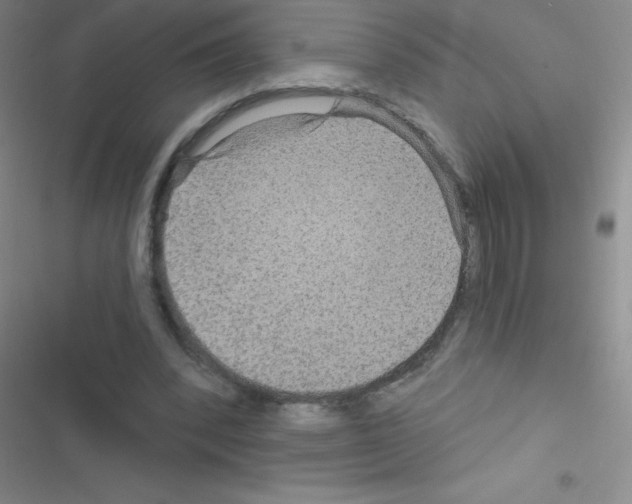 X0000116590392201001211330