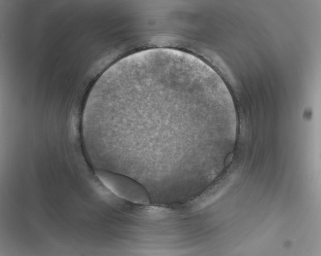 X0000116590393201001211330