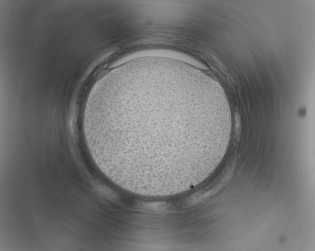 X0000116590396201001211330