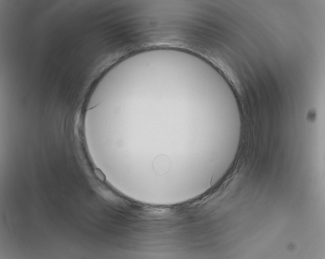 X0000116590397201001211330