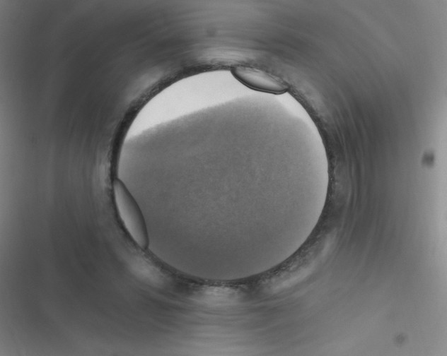 X0000116590399201001211330