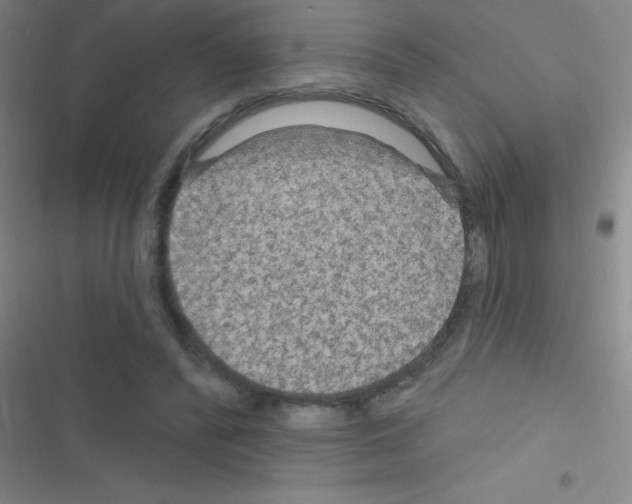 X0000116590400201001211330