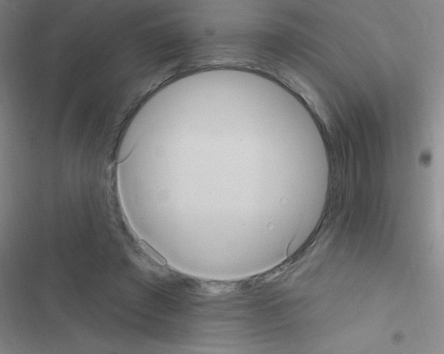 X0000116590401201001211330