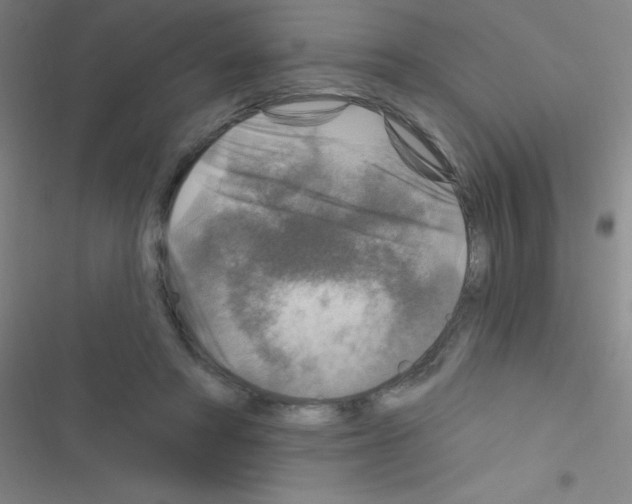 X0000116590402201001211330