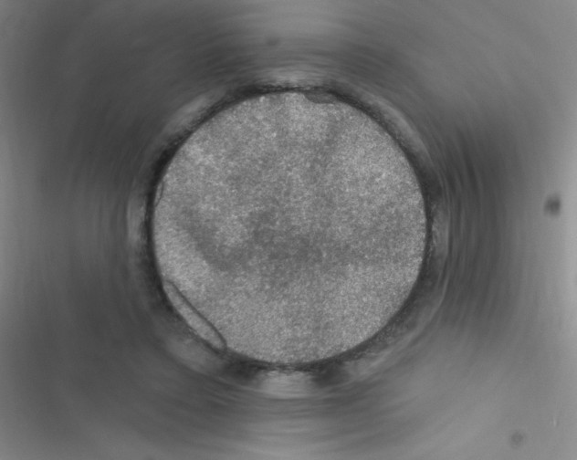 X0000116590403201001211330